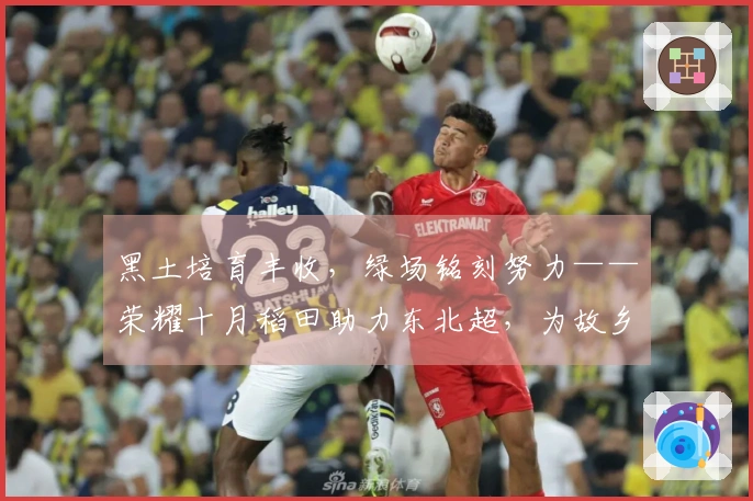 黑土培育丰收，绿场铭刻努力——荣耀十月稻田助力东北超，为故乡骄傲