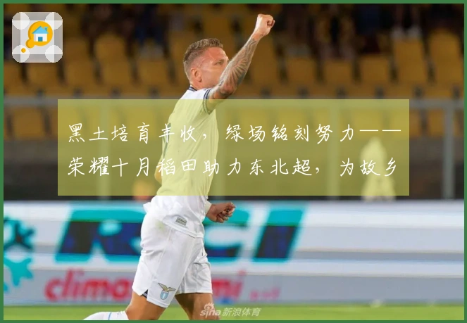黑土培育丰收，绿场铭刻努力——荣耀十月稻田助力东北超，为故乡骄傲